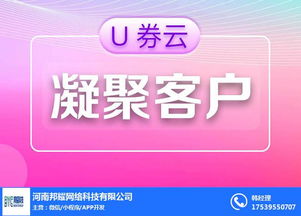 長沙淘客系統 本地化軟件開發的機遇與挑戰